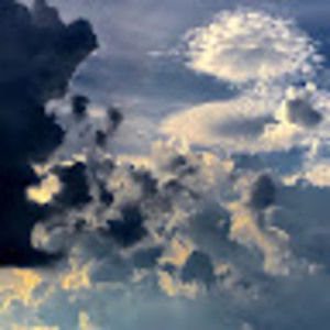 Meet your Posher, Frank